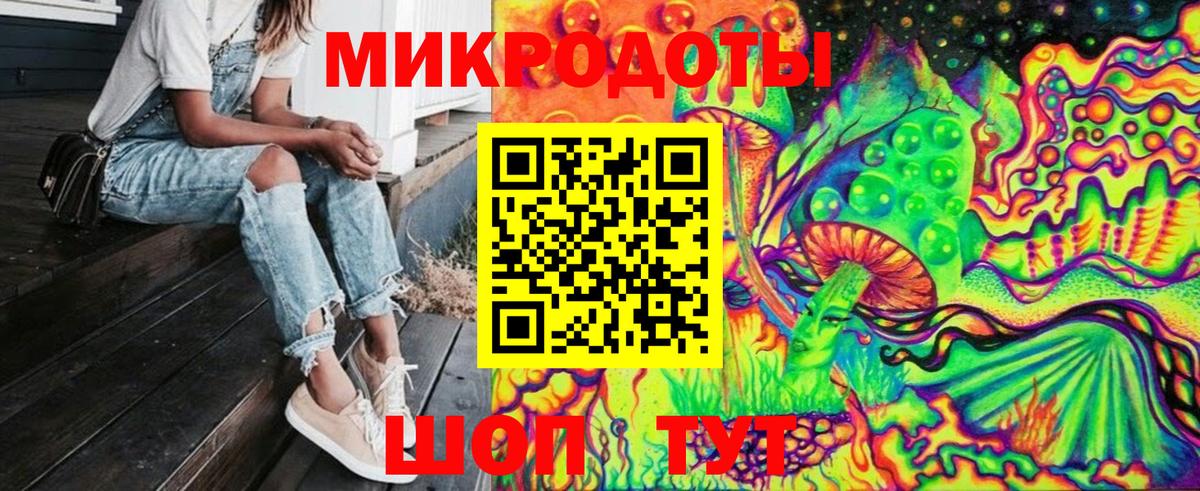 Галлюциногенные грибы Psilocybine cubensis Норильск