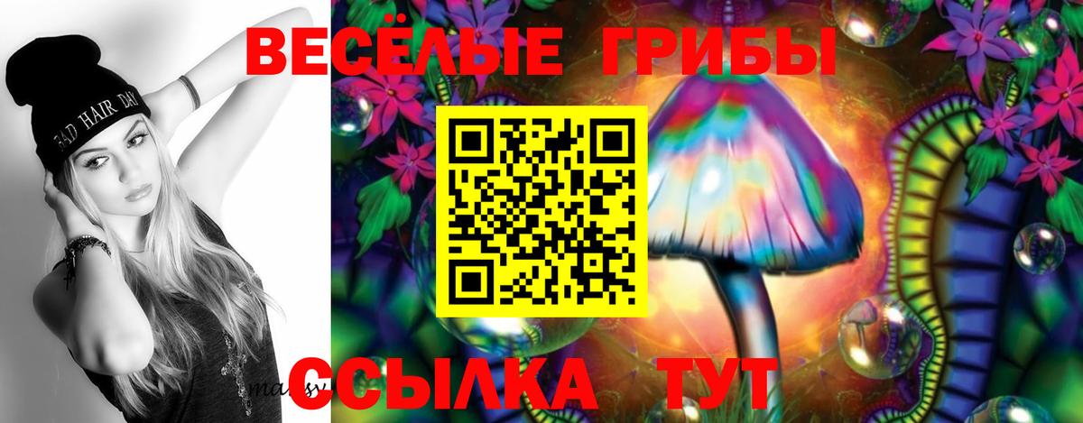 Галлюциногенные грибы GOLDEN TEACHER  Вход с VPN  Норильск  Псилоцибиновые грибы Psilocybine cubensis 